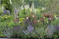 Herbaceous border filled with plants to attract pollinators, such as foxgloves, alliums, salvias, catmint, geums, verbascum, cirsium and erysimum.
