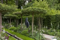 A classical, contemporary garden, with central rill edged in camomile, features flat-topped hawthorns, Crataegus monogyna, above white and green themed borders planted with alliums, foxgloves and peonies.