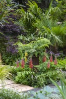 A small tree fern, Dicksonia antarctica, is raised in a chimney pot, and surrounded in ferns, tiarella and Lupinus 'Terracotta'. Behind, a purple-leaved maple and Chusan palm.