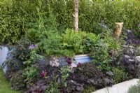 A raised planter is filled with green and purple foliage from elder, hosta, heuchera, ferns and pittosporum, punctuated by rose, salvia and thalictrum flowers.