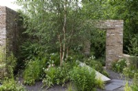 A sustainable and environmentally-aware garden created on an imaginary brownfield site, and planted with a Chinese red birch, Betula albosinensis, and a mix of low maintenance shrubs and perennials to provide nectar and shelter for pollinators.