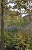 View through perennial planting to Industrial mill buildings in Hepworth garden Wakefield.