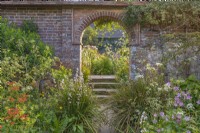 View of Sisyrinchium striatum flowering amongst perennial plants in an informal country cottage garden border in Summer - May