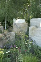 The Mind Garden, textured clay rendered walls frame meadow planting in woodland setting.