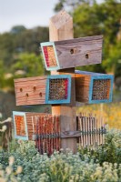 Bug boxes in perennial meadow.