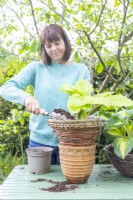 Woman backfilling basket with compost
