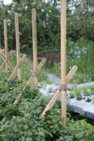 These supports for the hedgerow are handmade with chestnut and hemp braid cord in The hedgerow Alder Hey Urban Foraging Station Garden -Designers: Howard and Hugh Miller - Sponsor: Project Giving Back.