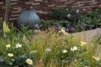 Border with Anemanthele lessoniana, Rosa 'Tottering by Gently' and Pimpinella major 'Rosea' - The Stitcher's Garden, RHS Chelsea Flower Show 2022