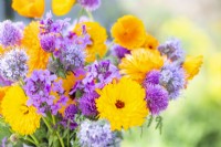 Bouquet containing Calendula 'Art Shades', Phacelia tanacetifolia, Lunaria annua, Chives - Allium schoenoprasum, Eschscholzia aurantiaca