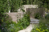 Path leading through curved walls with mixed planting of Valerian officinalis, Briza media and Euphorbia with overhanging birch trees - The Mind Garden, RHS Chelsea Flower Show 2022 - Gold Medal