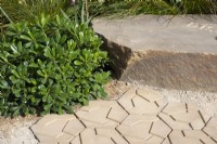 Pittosporum tobira 'Nanum' next to a path representing cracked soil - The New Blue Peter Garden - Discover Soil, RHS Chelsea Flower Show 2022