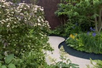 Cornus kousa 'Cappuccino' next to a winding path and water rill, Iris sibirica and Primula - The Boodles Travel Garden, RHS Chelsea Flower Show 2022 - Gold Medal