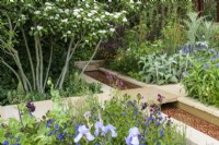 Morris and Co. Garden with Crataegus x lavalleei 'Carrierei and planting of Anchusa azurea 'Loddon Royalist', Aquilegia vulgaris var. stellata 'Ruby Port', Iris 'Jane Philllips', and  Stachys byzantina 'Big Ears' next to  Yorkshire stone water rill inlaid  with Morris's Willow Boughs  pattern 