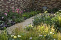 A lane leading up yellow border  planted with  roses,  astrantias, pimpinella, verbascums and ornamental grasses and pink border planted with Paeonies-- Stitchers Sanctuary Garden. Design: Frederic Whyte