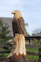 Schelldorf Saxony Anhalt Germany. 
Stump of a tree repurposed to make an impressive wooden sculpture of a bird of prey. 