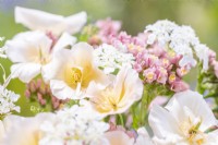 Bouquet containing Eschscholzia californica 'Peach Sorbet', Orlaya grandiflora and Limonium 'Apricot Beauty'
