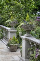 Balustrade with planted urns on the terrace at Hamilton House garden in May 