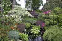 Ivy clad bridge over the stream at Hamilton House garden in May 