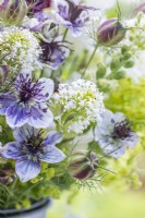 Bouquet containing Centranthus ruber - White valerian, Nigella papillosa 'Delft Blue', Nigella seed pods