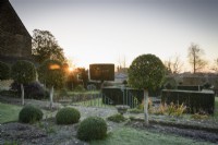 Topiary including box, lollipop Portuguese laurels and yew hedging in a formal garden in winter