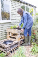 Woman planting wildflower plugs in the bug hotel
