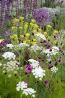 Bed with Athamanta vestina, Dianthus carthusianorum, Allium, Euphorbia and Salvia