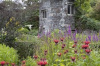 Bee balm, Monarda Red, with Salvia behind in front of the ruins of an old rectory. The Garden House, Yelverton, Devon. Summer. 