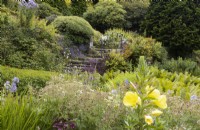 A variety of foliage in cottage garden style planting with stone steps in background. Evening primrose, Oenothera biennis, in foreground. The Garden House, Yelverton, Devon. Summer. 