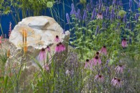 Echinacea purpurea 'Fatal Attraction', Kniphofia 'Fiery Red' and Agastache 'Blackadder' in the Over The Wall Garden at RHS Hampton Court Palace Garden Festival 2022