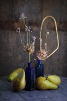 Pyrus communis 'Conference, Conference Pears and Allium schubertii in a still life  arrangement with vintage blue-glass bottles.