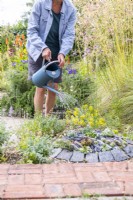 Woman watering crevice garden