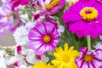 Bouquet containing Cosmos 'Candy Stripe', Calendula 'Art Shades' & 'Snowy Princess', Antirrhinum 'Lucky Lips', Zinnia 'Purple Prince and Centaurea 'Ball White' - Cornflower