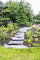 Stone steps leading over small hill