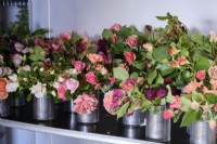 Tin cans of cut roses in the cold store at a flower farm in July