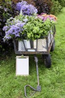 A trolley of freshly cut flowers and foliage at a flower farm in July