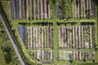 Aerial view of a flower farm in July