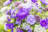 Bouquet containing Ammi visnaga, Verbena bonariensis, Callistephus 'Light Blue' and 'Dark Blue', Ageratum 'Blue Mink' and Consolida ajacis 'Blue Spire'
