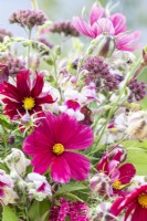 Bouquet containing Amaranthus caudatus - Love-Lies-Bleeding, Cosmos 'Rubenza', Antirrhinum 'Lucky Lips', Nicotiana 'Bronze Queen', Verbena bonariensis and Nigella damascena seed pods