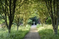 Path through the wild garden at Doddington Hall near Lincoln in May