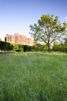Doddington Hall in evening sun in May rising above a meadow of long grass