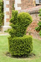 Yew topiary of a squirrel at Doddington Hall in May