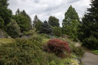 Haren Groningen The Netherlands
Botanische tuin Botanical Gardens 
Rock Gardens