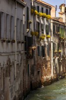 Window boxes with yellow flowers hanging out over crumbling buildings in a canal backwater.