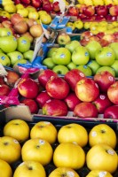 Apples in yellow, red, and green, including Pink Lady and Chantecler in cardboard crates on market stall.