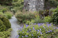 A curved gravel pathway leads between cottage style planting including salvia, canna and geranium with an old stone ruin behind. The Garden House, Yelverton, Devon. Summer. 
