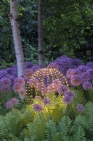  Spherical garden light amongst Alliums