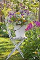 Spring flower bouquet in a bucket containing daffodils  and wild flowers such as dandelion, cow parsley, honesty, buttercup and balm-leaved archangel.