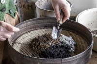 Creating your own seed compost with the correct mixture of ingredients. Sieving the ingredients in to a bowl