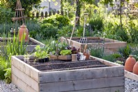 Vegetable seedlings and tools ready for planting.