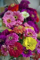 Zinnia 'Benarys Giant Mixed' as cut flowers